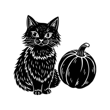  spooky Halloween vector illustration featuring a black cat and pumpkin. perfect for holiday decorations, invitations, or seasonal digital designs to add a creepy and festive touch. clipart