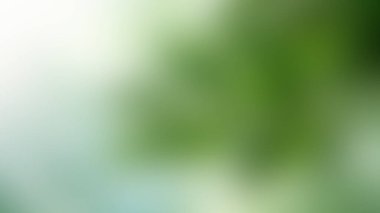 Yeşil ve beyaz yumuşak gradyanlı bulanık bir görüntü, doğal ve sakin bir atmosferi çağrıştırıyor..