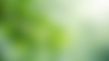 Yeşilin değişik tonlarında bulanık bir arka plan. Doğal elementler ve nazik, organik bir his..