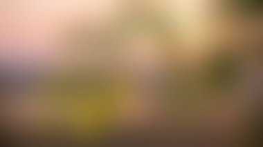 Sıcak, altın güneş ışığıyla yıkanmış bir sonbahar ormanının bulanık, izlenimci görüntüsü sakin ve davetkar bir atmosfer yaratıyor..