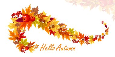 Renkli sonbahar yaprakları ve böğürtlenlerinin vektör çizimi. Orman tasarım elementleri meşe, elma, akçaağaç, ginko, kül, kestane, kavak, meşe palamudu.