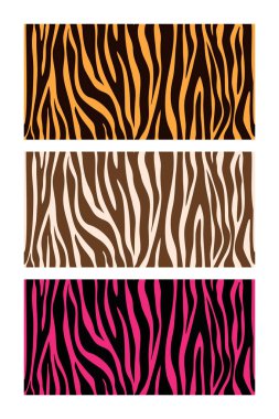 Renkli zebra izi. Tekstil, kumaş, duvar kağıdı, ambalaj kağıdı, poster, arkaplan, ağ için vektör deri zebra deseni. Vahşi zebra çizgileri. Gerçekçi hayvan dokusu. Moda tekstili