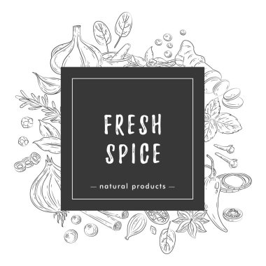 Baharatlar ve şifalı otlar. Vanilyalı, anasonlu, zencefilli, tarçınlı, körili, fesleğenli, sarımsaklı, biberli el yapımı mutfak otlarının vektör çizimi. Menü için karalama tarzında popüler Hint baharatları