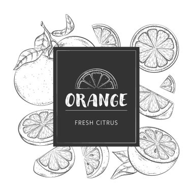 El çizimi portakal meyvesi arka planı. Taze portakalların vektör çizimi, bütün turunçgil, yarısı, karalama şeklinde kesilmiş. Yaz mevsimi tropikal meyveleri desen, poster, kart, web afişi, menü.