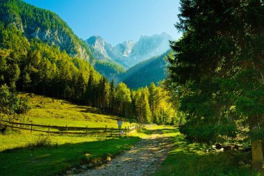 Martuljek deresi boyunca patikadaki ağaç kulübenin yanındaki çayırda.
