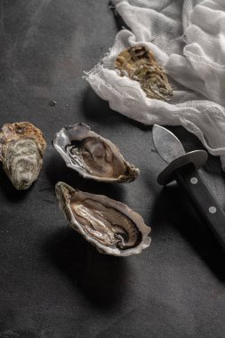 İstiridye bıçağıyla taze istiridye yakın plan, kabuklu çiğ kabuklu deniz ürünleri, deniz ürünleri, aşçılık ve mutfak temaları için ideal.