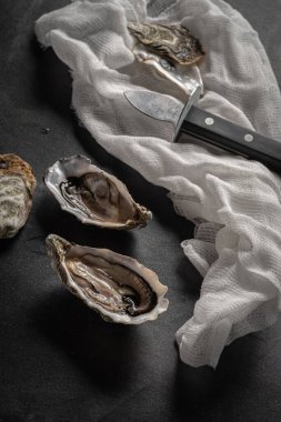 İstiridye bıçağıyla taze istiridye yakın plan, kabuklu çiğ kabuklu deniz ürünleri, deniz ürünleri, aşçılık ve mutfak temaları için ideal.