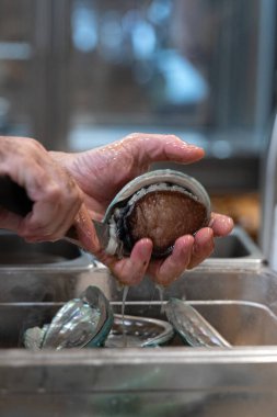 Chef is preparing Fresh abalones to serve clipart