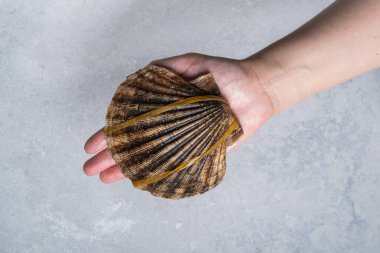 Taze Kral Şefin Elindeki Tüm Neşterler