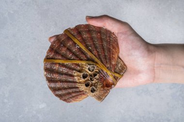 Taze Kral Şefin Elindeki Tüm Neşterler