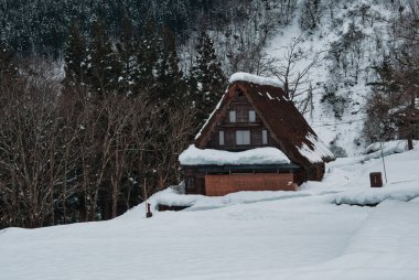 Gokayama 'da Geleneksel Japon Evleri 