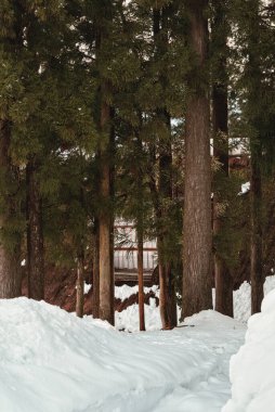 Snow-Covered Gassho-Style Houses in Winter at Gokayama and Shirakawa-go clipart