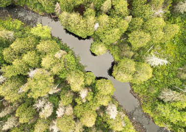 Arka planda dağlarla sisli bir sabahta ıssız arazide gezinen bir nehrin insansız hava görüntüsü.