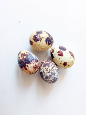 Bıldırcın yumurtası protein kaynağı beyazı izole et