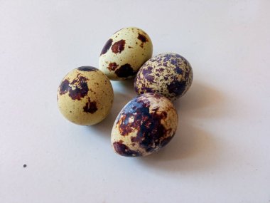 Bıldırcın yumurtası protein kaynağı beyazı izole et