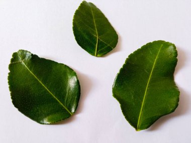 Beyaz arka planda izole edilmiş baharatlar pişirmek için birkaç parça portakal yaprağı.