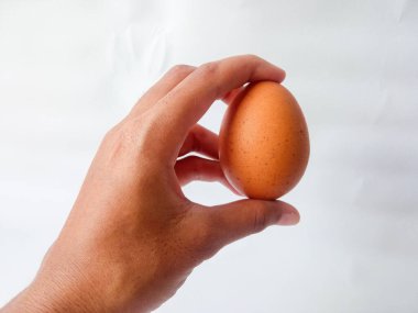 Asyalı kadın eli tavuk yumurtası tutuyor. Beyazın üzerinde izole edilmiş.