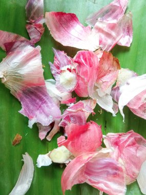 organik atık soğan kabukları