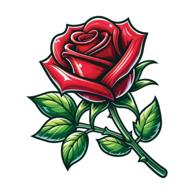 Illustration of beautiful red rose