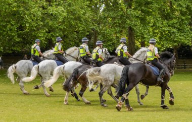 Atlı Metropolitan Polis Memurları ve Başkent Polis Teşkilatı Atlı Şubesi 'nden atlarıyla birlikte Green Park, Londra, İngiltere' de eğitim tatbikatı yapıyorlar..