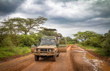 Bir sürücü ve rehber, Tanzanya 'daki Nyerere Milli Parkı' nda (Selous Game Reserve) safaride 4x4 aracının çatısını kaldırır..