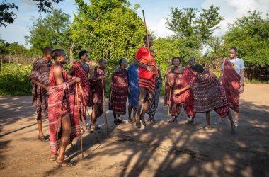 Batılı bir turist, Tanzanya 'nın Mikumi kasabasında bir grup Masai savaşçısını şarkı söylerken ve geleneksel zıplama dansını yaparken izliyor.