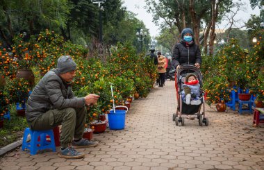 Bir kadın bebeğini Tet 'te satılık portakal meyveli kumkuat ağaçlarının önünden geçen bir at arabasına itiyor. Ya da yeniden birleşme parkında, Hanoi, Vietnam' da ay ışığında.