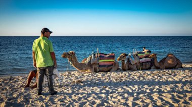 Erkekler develeriyle turistlerin Tunus 'taki Port El Kantaoui' ye gitmelerini bekliyor..