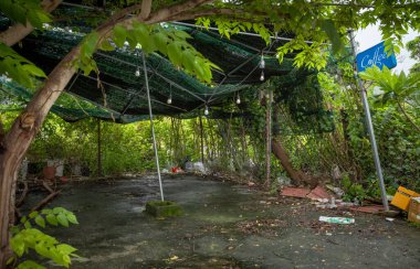 Showing the signs of a tropical climate, an abandoned coffee shop under trees is slowly reclaimed by vegetation  on a pavement in Danang Vietnam. clipart