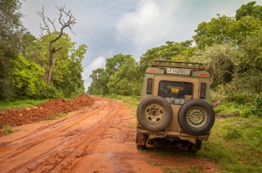 Kırsal Tanzanya 'da Cholesamvula yakınlarında vahşi doğada sağanak yağmurdan sonra kırmızı toprak yolda bir 4x4 araç..