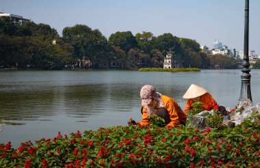İki kadın belediye bahçıvanı, Hoan Kiem Gölü 'nün yanındaki bir çiçek tarlasında çiçek açar. Kaplumbağa kulesi de Hanoi, Vietnam' ın merkezinde..