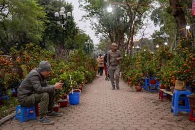 İnsanlar Tet 'te satılık portakal meyveleriyle kumkatların yanından geçiyorlar, ya da yeniden birleşme parkında, Hanoi' de, Vietnam 'da, ay ışığında.