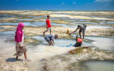 Çocuklar Jambiani sahilinde, Zanzibar, Tanzanya 'da gelgit havuzlarında eski bir çarşaf kullanıyorlar.