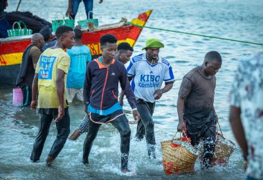 Hamallar akşamları Kivukoni Balık Pazarı, Dar es Salaam, Tanzanya 'daki geleneksel bir ahşap dhow teknesinden ançüez torbalarını boşaltmak için acele ederler.,