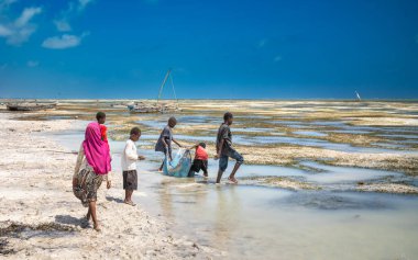 Çocuklar Jambiani sahilinde, Zanzibar, Tanzanya 'da gelgit havuzlarında eski bir çarşaf kullanıyorlar.
