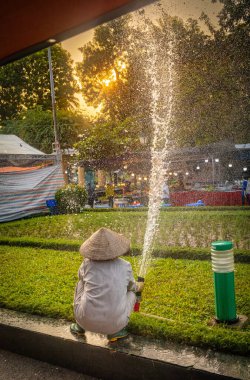 Vietnamlı bir kadın bahçıvan konik bir şapka takıyor ve çiçek tarlalarına su püskürtüyor. Park, Hanoi, Vietnam 'da..