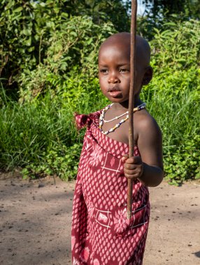 A young Maasai boy dressed in a shuka walks through her vilage in Mikumi, Tanzania clipart