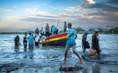 Hamallar, Kivukoni Balık Pazarı, Dar es Salaam, Tanzanya 'ya vardıktan sonra balıkçılarla dolu geleneksel ahşap dhow teknelerinden ançüez torbalarını boşaltmak için acele ediyorlar.,