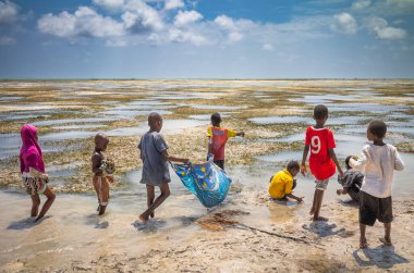 Çocuklar Jambiani sahilinde, Zanzibar, Tanzanya 'da gelgit havuzlarında eski bir çarşaf kullanıyorlar.