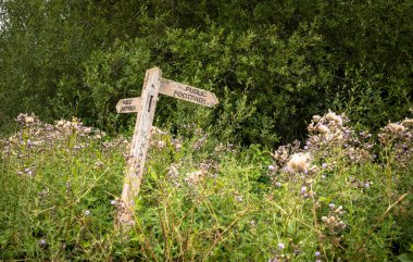 Billingshurst, West Sussex, İngiltere 'deki halk patikalarını gösteren ağaçların önündeki geleneksel tahta tabela..