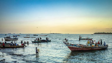 Balıkçılarla dolu geleneksel ahşap dhow tekneleri akşam Kivukoni Balık Pazarı, Dar es Salaam, Tanzanya 'ya akın ediyor.,