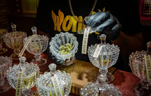 stock image A shop assistant shows a jar containing the Thai cannabis variety Tom Yum Kush in a legal marijuana shop called wonderland on Sukhumvit Road in Bangkok, Thailand