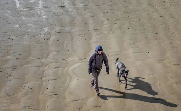 Bir adam köpeğini kışın Bognor Regis, Batı Sussex, İngiltere sahilinde gezdirir.