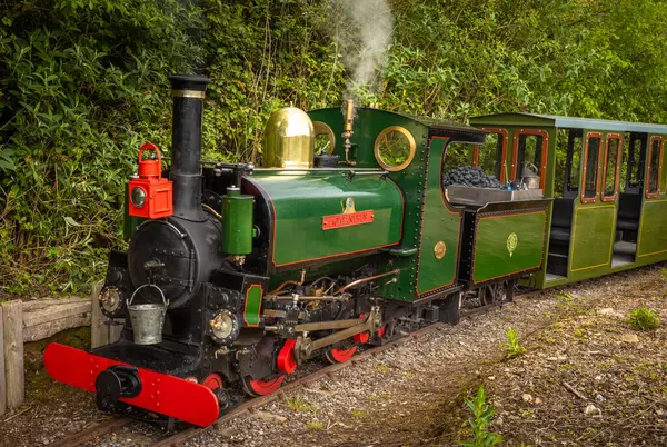 stock image The Agapanthus, a miniature steam locomotive and its carriages at South Downs Light Railway, Pulborough, UK