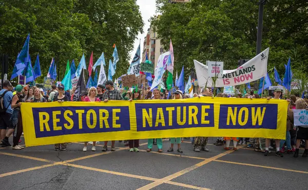 stock image London UK - Jun 22 2024: Climate activists protest at the Restore Nature Now march for environmental protections. 350 ogroups including the RSPB, WWF,  National Trust, Extinction Rebellion and others united for the march.