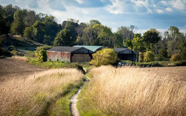 stock image Hay lies stored in barns and farm buildings on the South Downs Way, a long distance footpath across the South Downs National Park, West Sussex, UK.