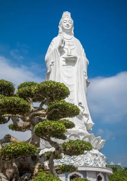 stock image A bonsai tree and the statue of Avalokitesvara Bodhisattva at Ling Ung Bai Buc Buddhist pagoda in Son Tra, Danang, Vietnam.