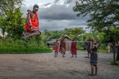 Bir Masai savaşçısı Tanzanya, Mikumi 'deki geleneksel köyünde ipin üzerinden atlama alıştırması yaparken sopasını taşır..