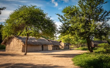 Tanzanya 'nın Mikumi kentindeki bir Maasai köyünde geleneksel çamur ve ahşap sazdan kulübeler, ya da kuşatmalar.
