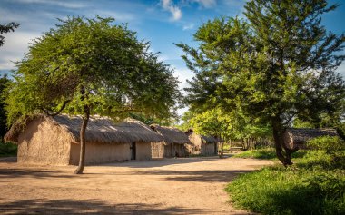 Traditional mud and wood thatched huts, or enkangs, in a Maasai village in Mikumi, Tanzania clipart